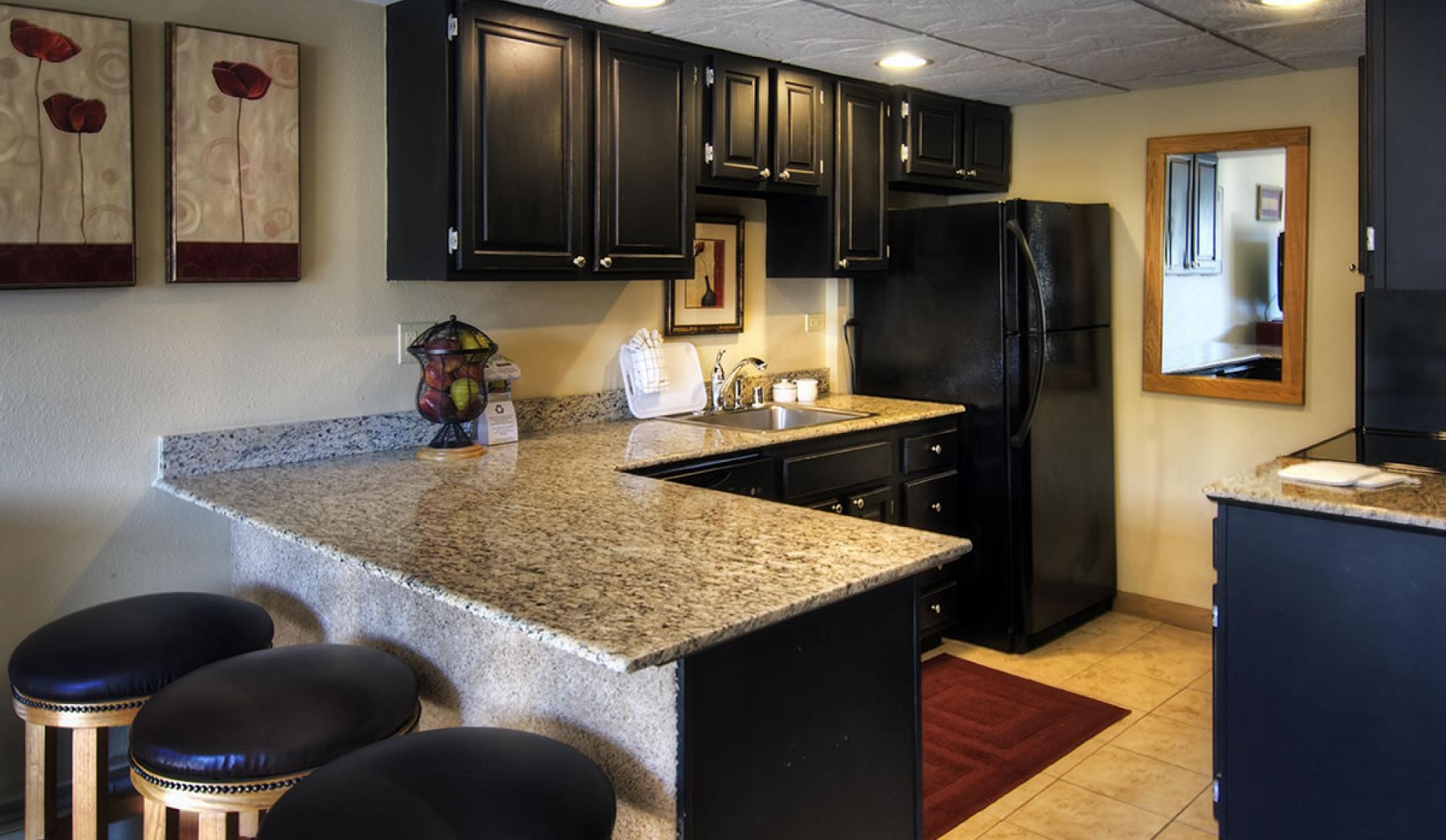 1bdrmKitchen