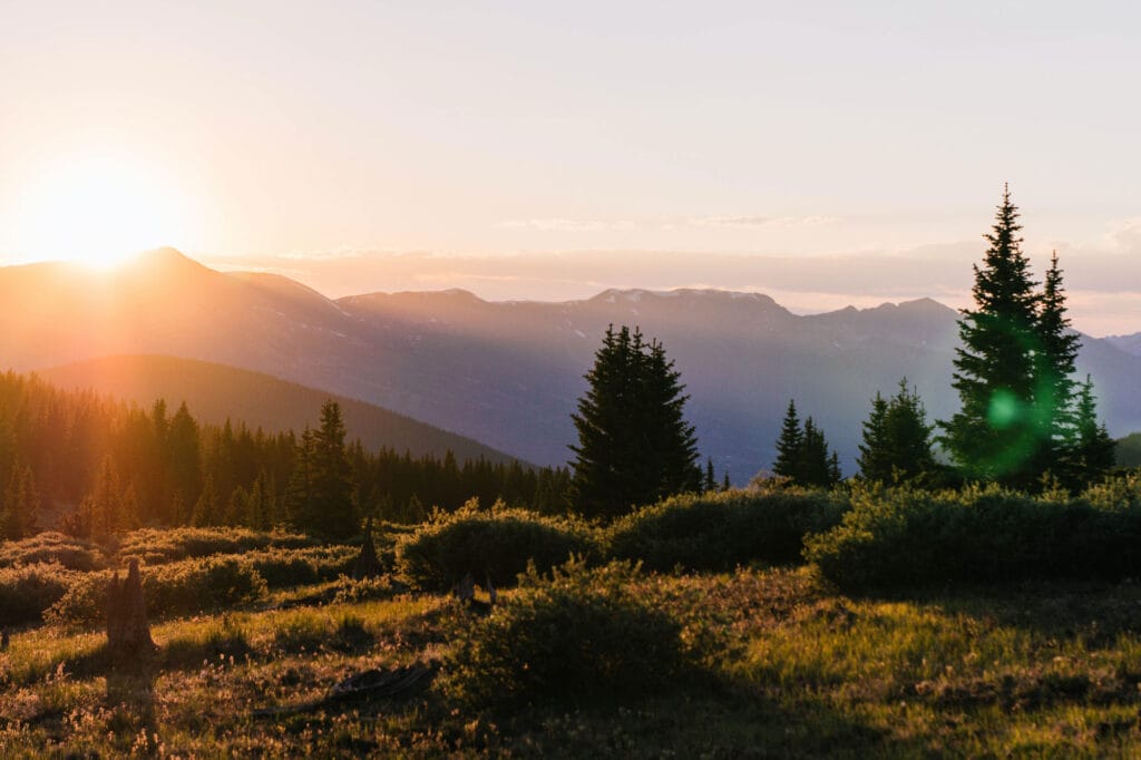 summer mountain scape