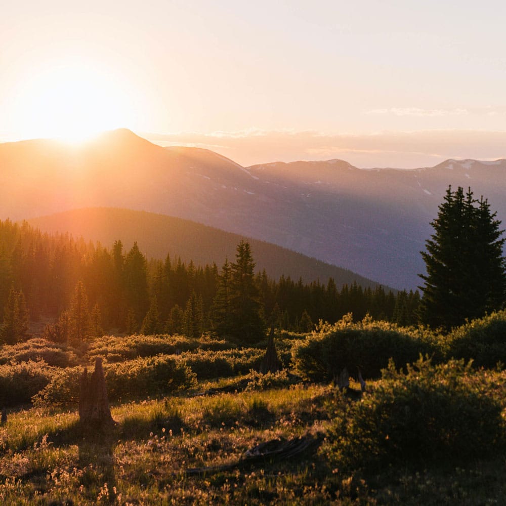 Summer mountain landscape