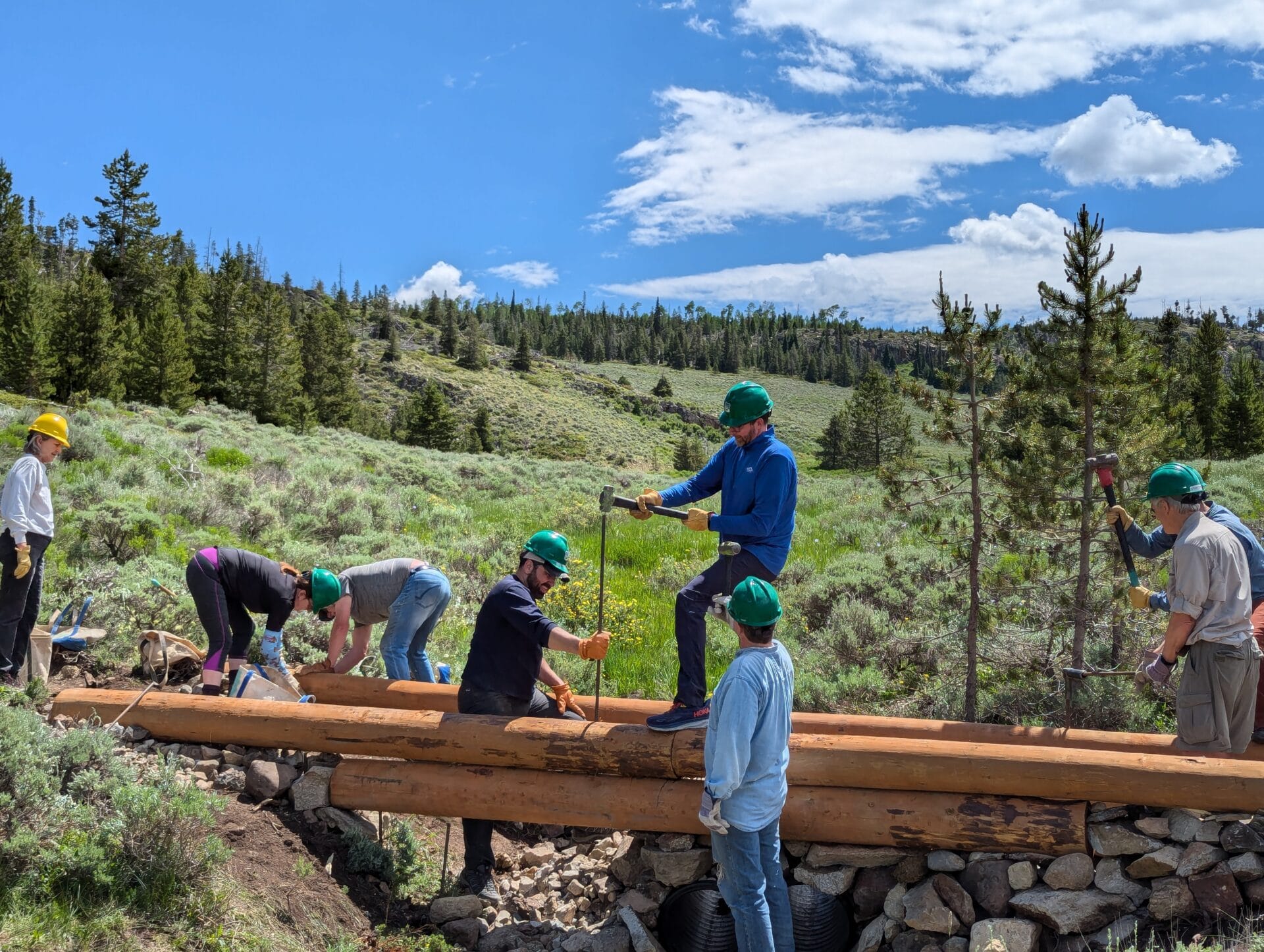 Beaver Run volunteers building a bridge on the Windy Point Trail.