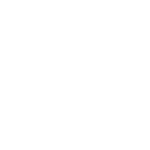 white star icon