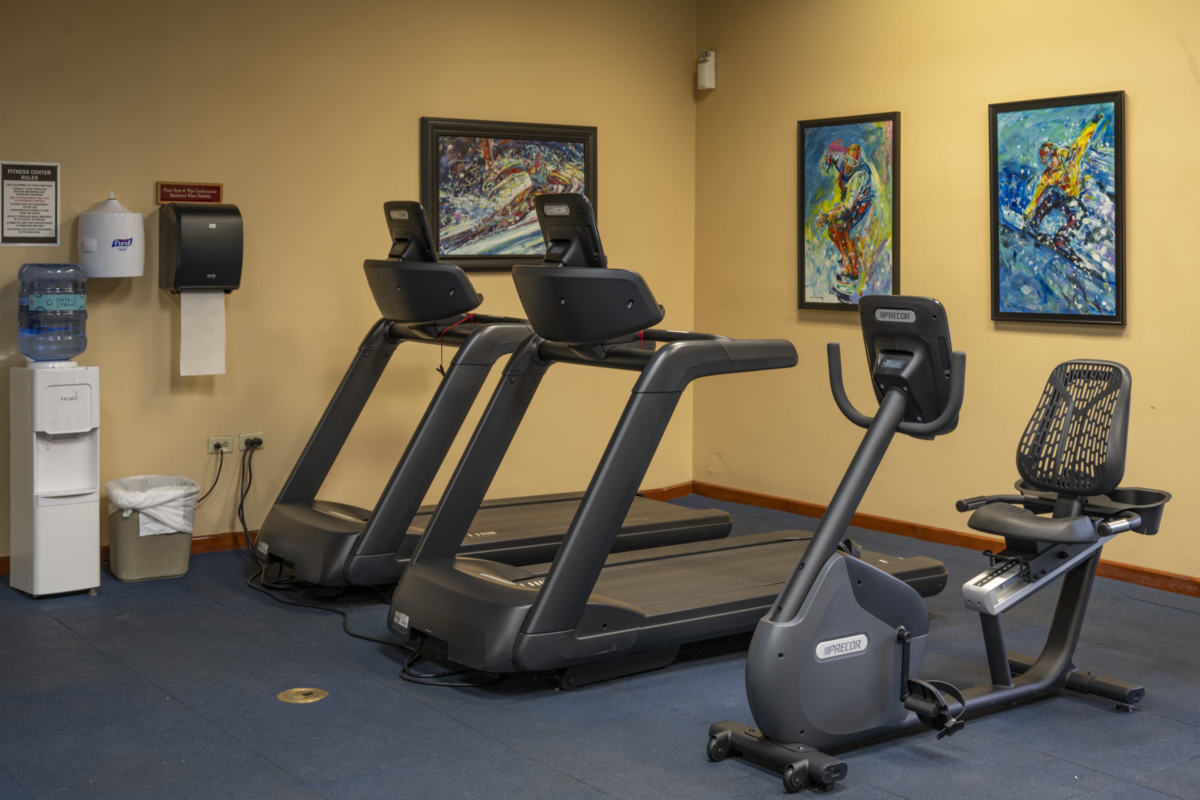 treadmills in fitness center