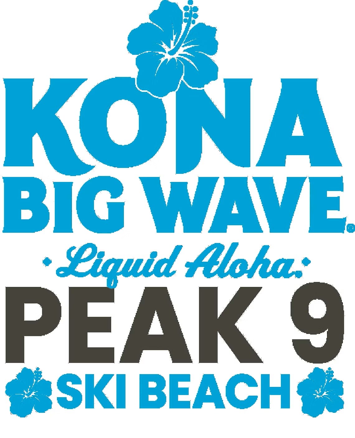 kona big wave promo