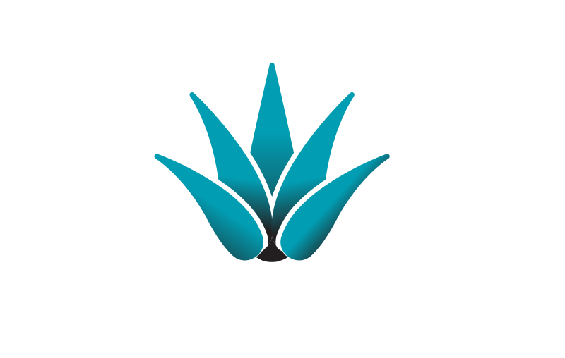 agave festival logo