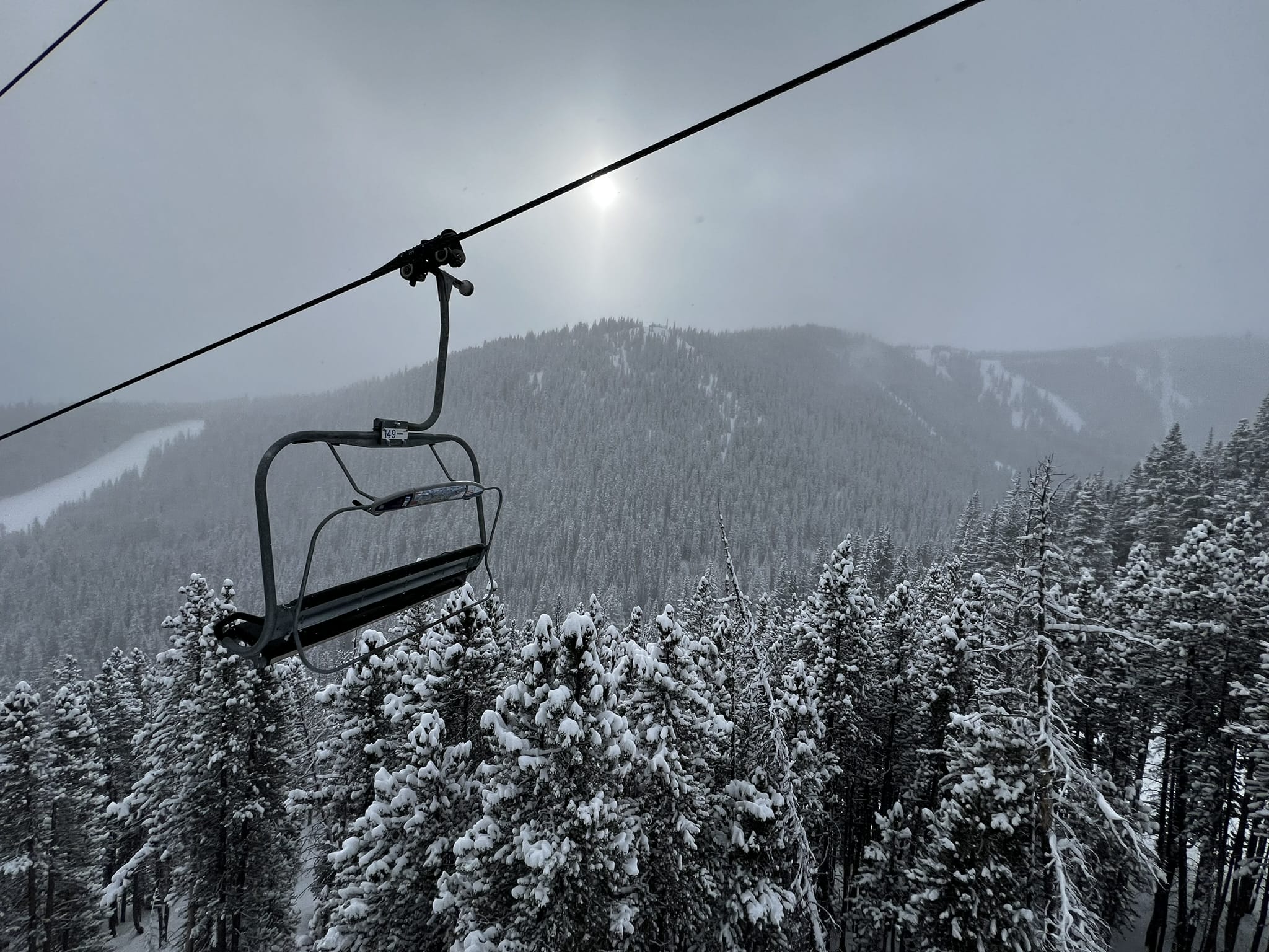 snow topped trees on chairlift