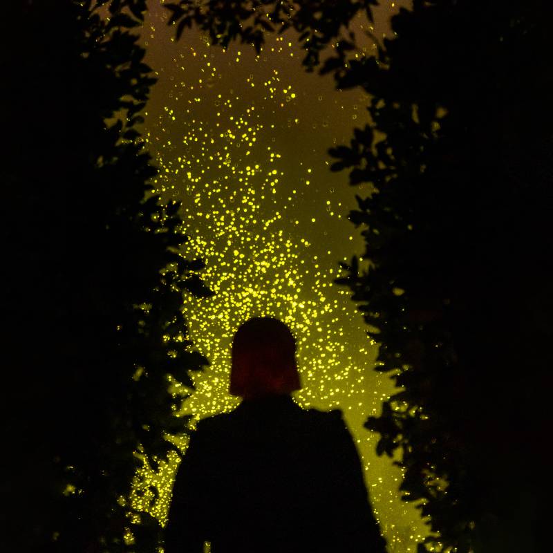 SPARK: Daan Roosegaarde installation