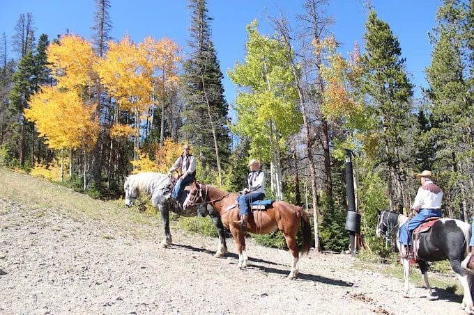 breck stables horseback riding